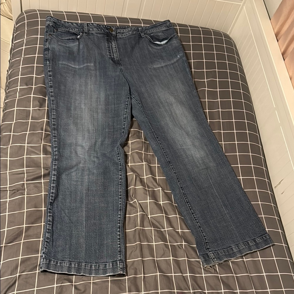 INC Plus Size 18W Blue Straight Leg Jeans with Classic Fit